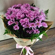 Букет цветов из:  Хризантемы #REPLACE_PRED# Поселок имени Куйбышева