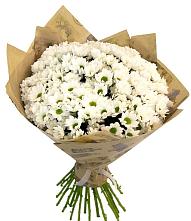 Букет цветов из:  Хризантемы #REPLACE_PRED# Поселок имени Куйбышева
