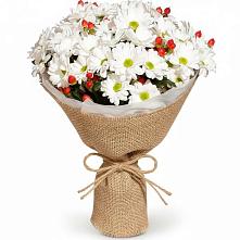Букет цветов из:  Хризантемы #REPLACE_PRED# Поселок имени Куйбышева