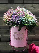 Цветочная композиция из Гипсофила и Розы в шляпной коробке #REPLACE_PRED# Поселок имени Куйбышева